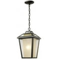 thumbnail image 1 of Z-Lite Memphis 1 Light Outdoor Chain Light in Oil Rubbed Bronze, 1 of 1