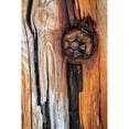 thumbnail image 3 of Mahan, Kathy 13x18 Black Modern Framed Museum Art Print Titled - Wood Details I, 3 of 5