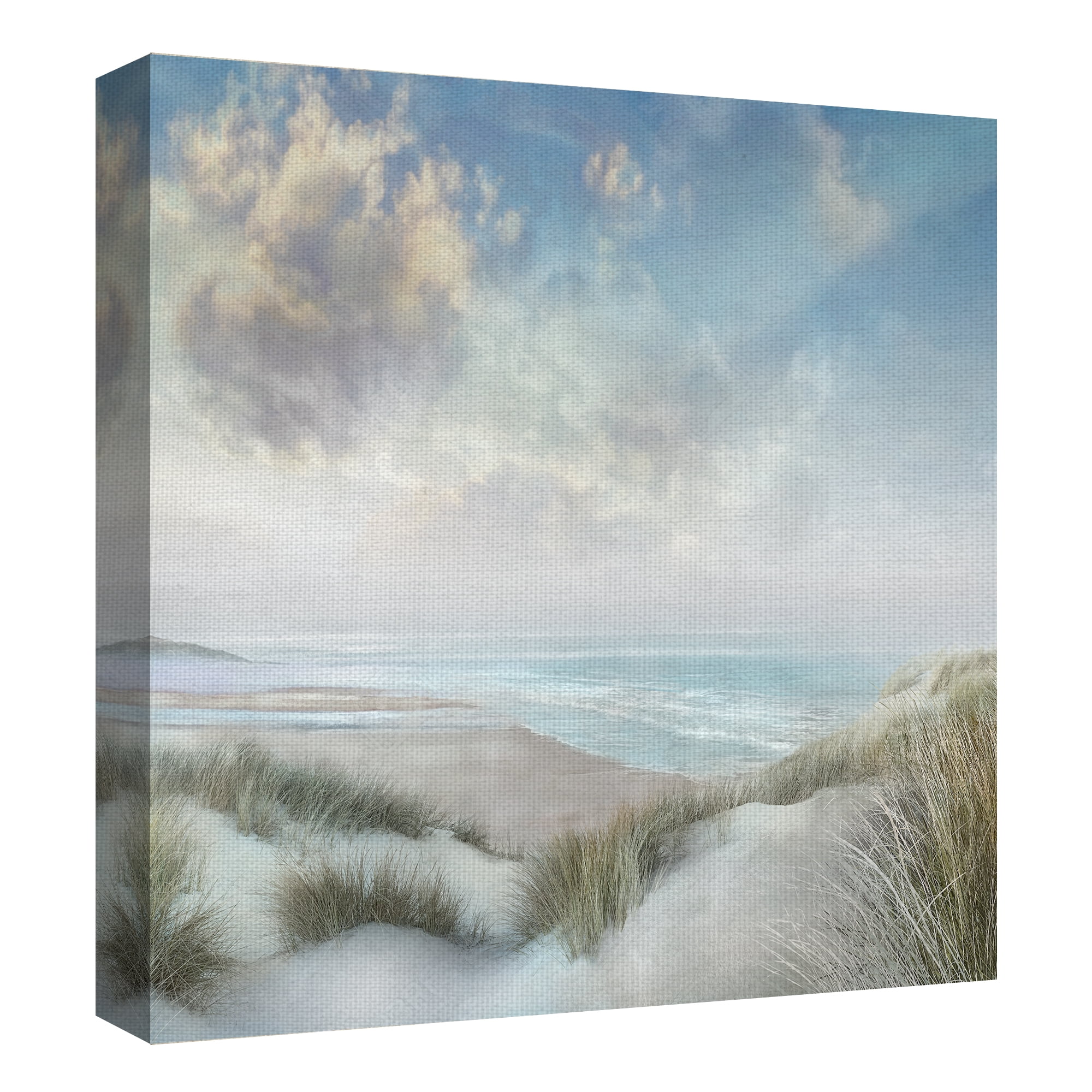 Fine Art Canvas Windswept III Coast by Mike Calascibetta Canvas Art Print