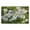 Marguerite (30), variant on Add Charm to Your Bathroom Cute Daisy Bath Mat, Non-Slip and Super Absorbent