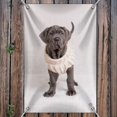 thumbnail image 3 of Neapolitan Mastiff Dog Nifty Sweater Home Business Office Sign, 3 of 4