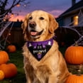 thumbnail image 6 of Twfbrm Halloween Dog Bandanas, Ghost & Bat Print Triangle Fabric Pet Scarf for Boys and Girls, Adjustable Reversible Neckerchief Washable Puppy Bibs Halloween Pet Costume for Cats and Dogs, 6 of 6