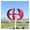 Red_Turbine Only_12V, variant on 8000W Wind Turbine 12v 24v 48v Vertical Axies Wind Generator Small Windmill Energy With MPPT Charge Controller Homeuse ,Low Noise