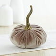 thumbnail image 5 of Velvet Pumpkins Set of 3 Different Sizes, Thanksgiving tablescape, Cozy farmhouse décor, Fall centerpieces, Warm sophisticated decor, Autumn cozy mantel decor, Halloween tabletop (Gray Taupe Ivory), 5 of 10