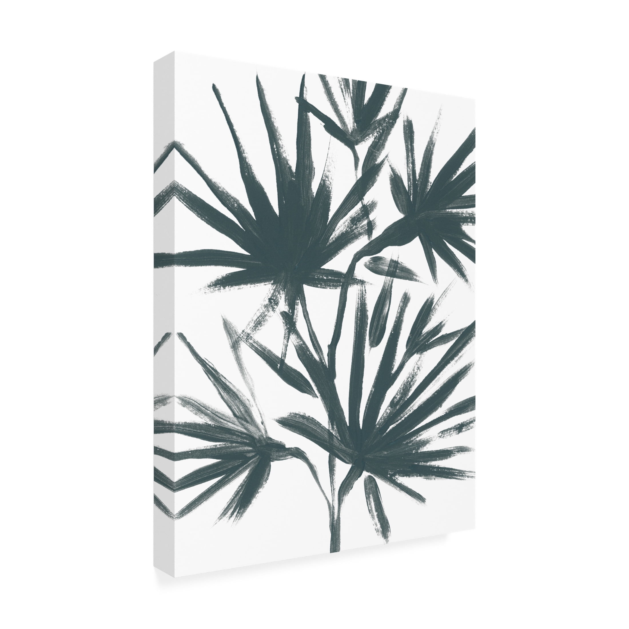 Trademark Fine Art June Erica Vess Tropical Cameo II Canvas Wall Art