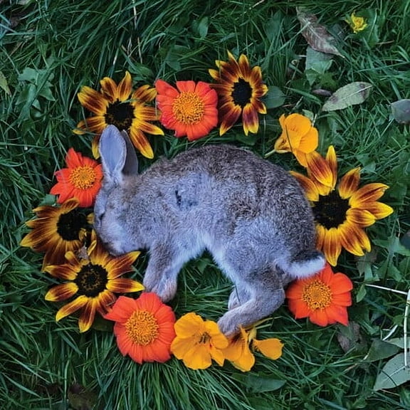 Monolord - Your Time To Shine - Music & Performance - CD