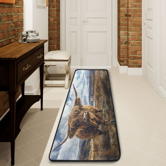 Ryvnso Highland Cow Hallway Runner Rugs Floor Carpet Non Slip Entryway Mat 2' x 6'