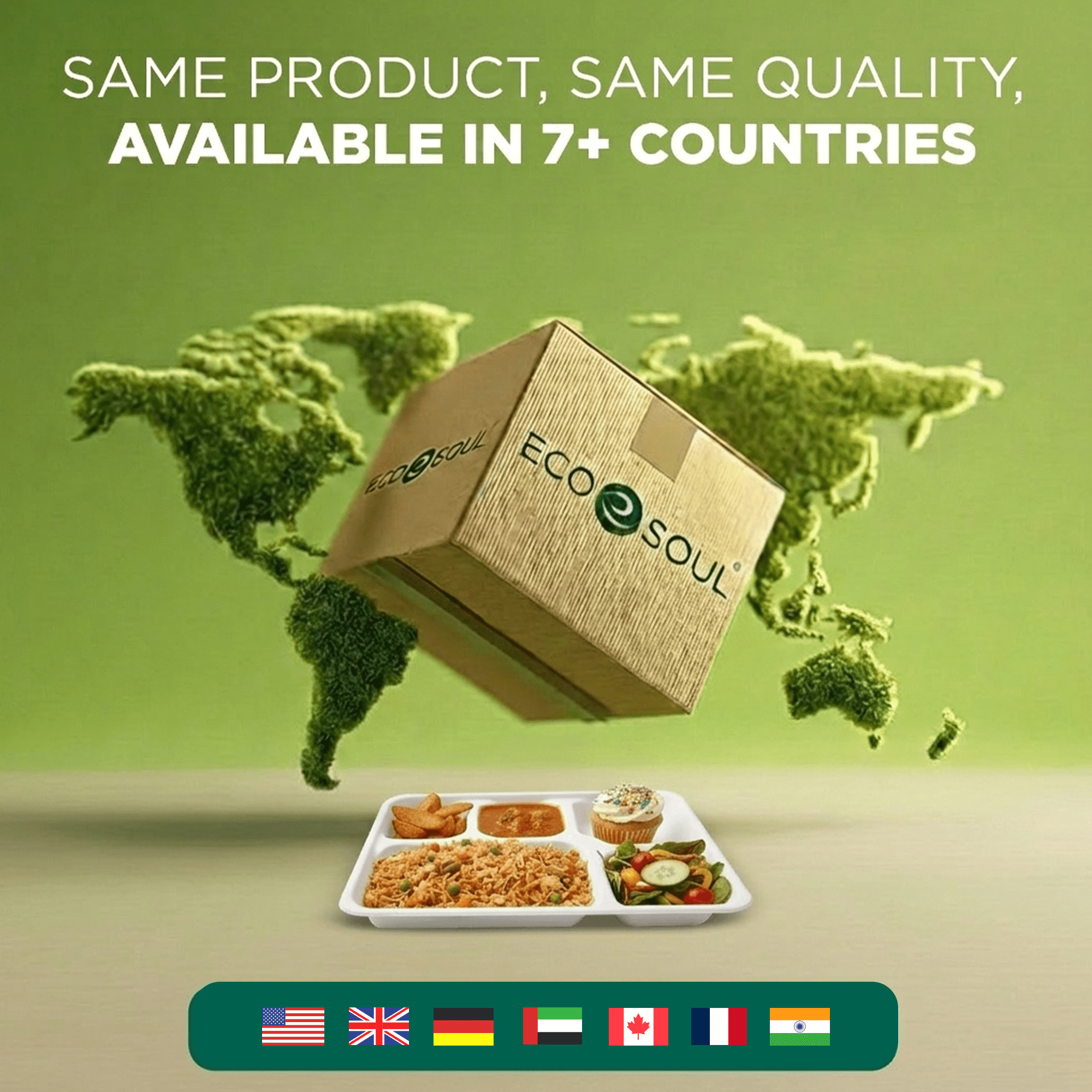 Compostable Bagasse - 5 Compartment Meal Tray 28 × 22 cm (11” x 8.6”), 24 Count