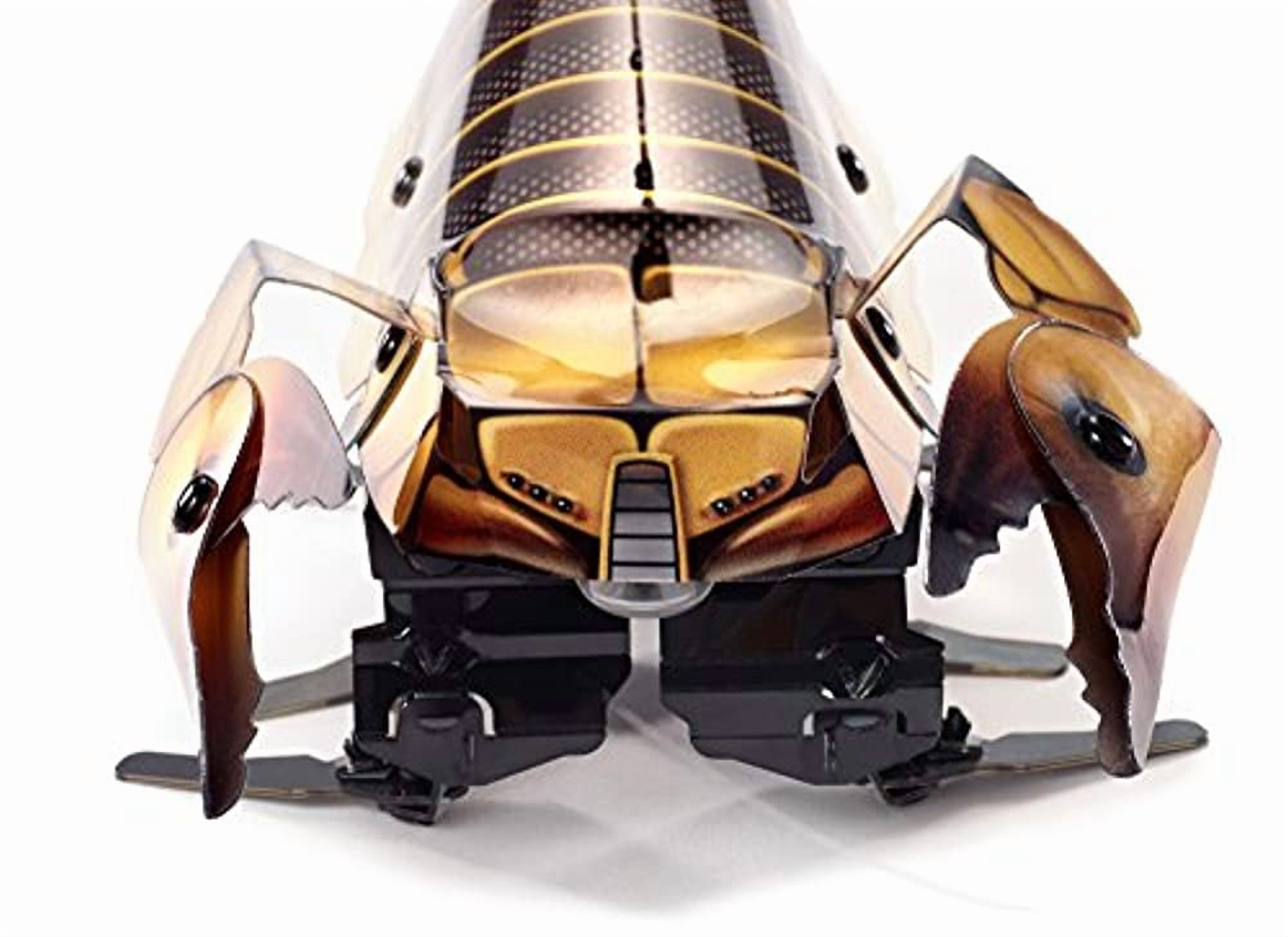 Kamigami Scarrax Battle Robot, Engineering Build Program Play