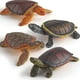 thumbnail image 4 of FELTECHELECTR 4 figuras de tortuga de juguete realistas, pequeños animales de plástico, modelo de tortuga para bañera, piscina, juguete., 4 of 6