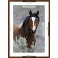 thumbnail image 5 of Art.com Wild Horses, Steens Mountains Photographic Print by Ken Archer, Brown Frame Wall Art, 21" x 29", 5 of 5