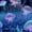 Color 1, variant on Peel and Stick Wallpaper Glowing Jellyfish Ocean Bioluminescent Light Wall Mural 17.7in x 9.8ft Self Adhesive Removable Wall Paper Renter Friendly Wallpaper for Nursery Bedroom Cabinets