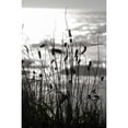 thumbnail image 3 of Berzel, Erin 11x14 Black Modern Framed Museum Art Print Titled - Coastal Grass I, 3 of 5