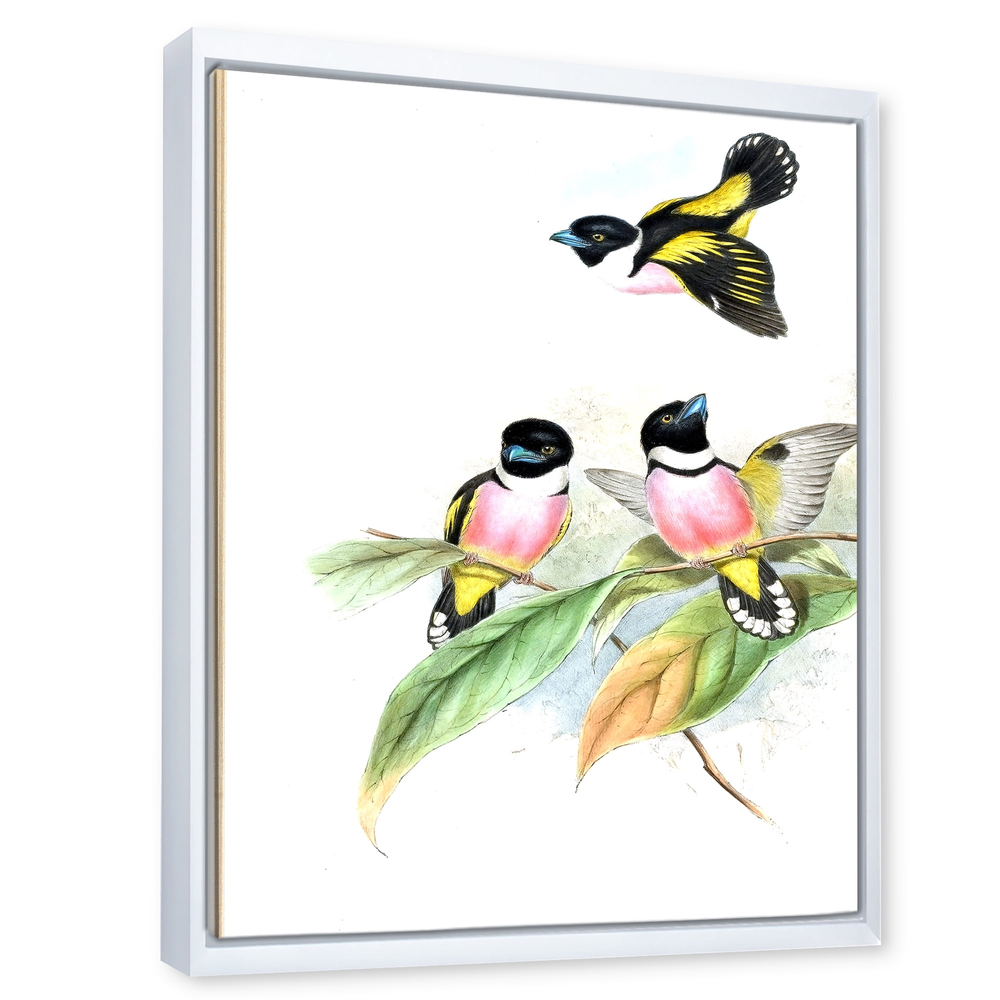 Designart 'Ancient Birds III' Traditional Framed Canvas Wall Art Print