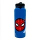 thumbnail image 2 of Botella de agua plateada Buffalo Spider-Man Beyond Amazing de 1,25 L, 2 of 7