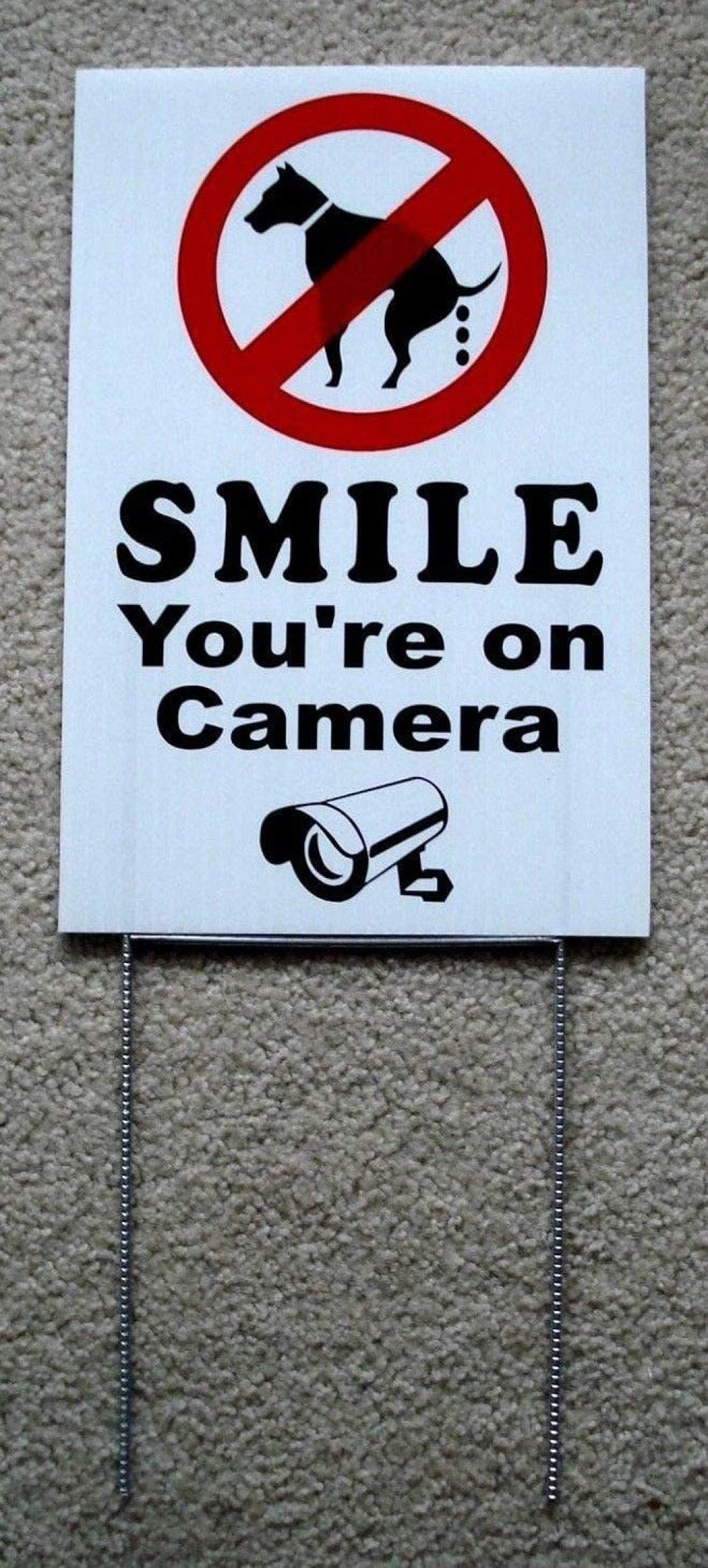 SMILE YOU'RE ON CAMERA Coroplast YARD SIGN 8x12 w/Stake 25% OFF 3 OR MORE! 