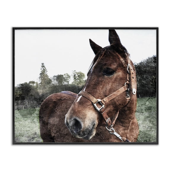 Stupell Industries Rustic Lodge Horse Posing In Field Black Framed Giclee Art, 14 x 11, by Milli Villa