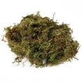 thumbnail image 2 of Rdeghly Terrarium Moss, Environments Warm Breathable Resin Material Good Water Absorption Natural Terrarium Moss, Terrarium For Reptile, 2 of 8