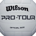 thumbnail image 3 of Balón de Volleyball Wilson Pro Tour #5, 3 of 4