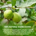 thumbnail image 6 of LeafLea 80 Guava Leaf Tea Bags, Herbal Tea Made from Natural Guava Leaves, Digestive Support & Immune Balance, Caffeine-Free, Sugar-Free, 6 of 17
