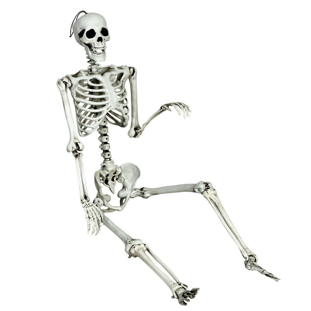 Halloween Skeleton 5ft
 Gymax Full Body Halloween Skeleton 5 4ft Life Size w Hanging Rope