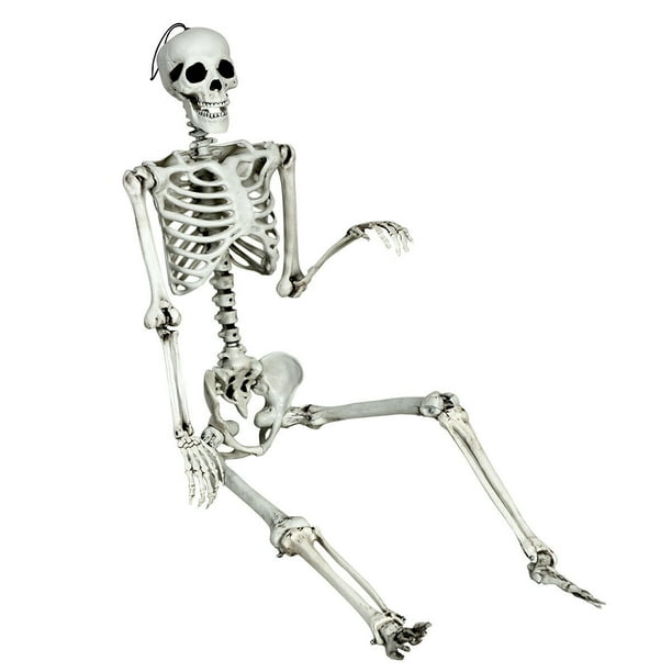Gymax Full Body Halloween Skeleton 5.4ft Life Size w/ Hanging Rope Movable  Joints - Walmart.com