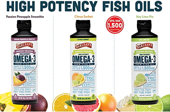 Barlean's Key Lime Pie Seriously Delicious High Potency Omega-3 Fish Oil - EPA/DHA for Brain, Heart, Joint, & Immune Health - All-Natural Fruit Flavor, Non-GMO, Gluten Free - 16 oz