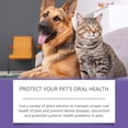 thumbnail image 6 of Pet Oral Repair Gel For Dogs Cats, 3Ml*2 Pet Dental Care To Remove Bad Breath Plaque, Pet Fresh Breath & Teeth Cleaning Gel, Pet Oral Hygiene Solution, 6 of 7