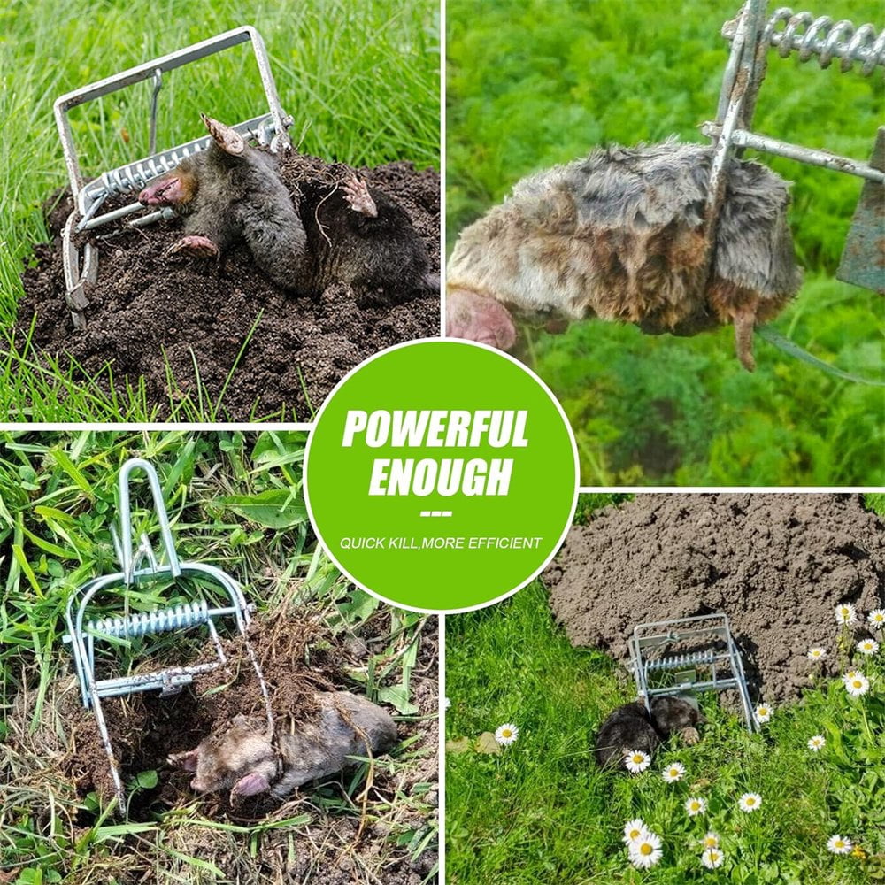 2 Pack Mole Trap, Easy Setup Black Mole Trap for Lawns,Reusable