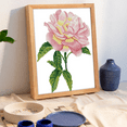thumbnail image 3 of Diamond Dotz Pink Rose Flower Diamond Painting Kits for Adults - Diamond Art Kits a Relaxing Creative Craft Kit with Dotz Gems 10"x14", 3 of 6