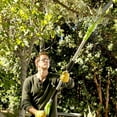 thumbnail image 4 of Greenworks 40V 8.5-Inch Cordless Pole Saw, 2.0 AH Battery and Charger Included 1400017, 4 of 4