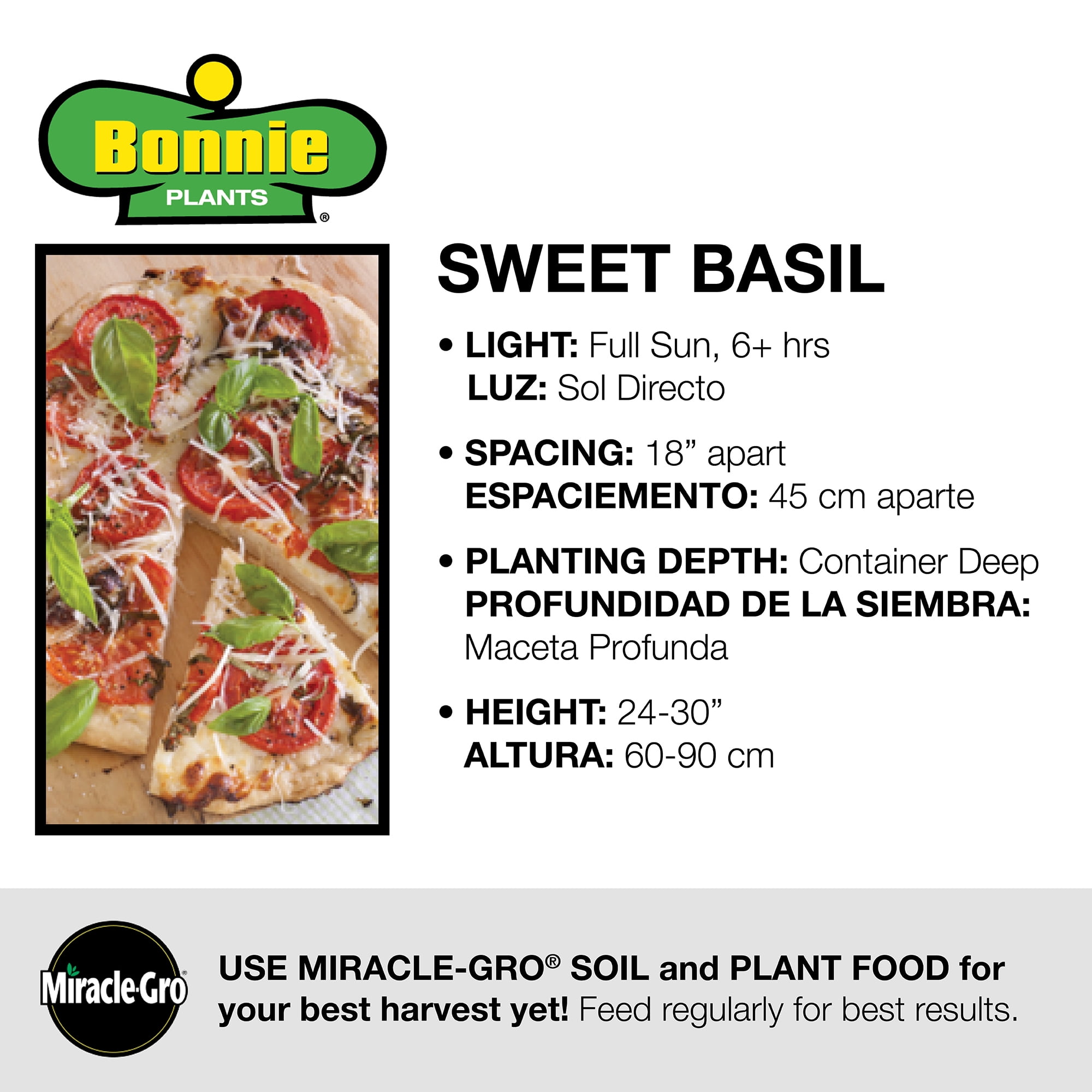 Bonnie Plants Sweet Basil 2.32 qt.