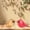 Style A+Style B, variant on Solid Wood Handcarving Northern Cardinal Birds Statue Wooden Bird Figurine Handpainted 3D Animal Figurine Hand-Made Home Office Decoration