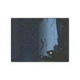 thumbnail image 3 of CADecor Halloween ins a Dark Night Blankets Throws Blanket Indoor Outdoor Blanket Fleece Blankets 58x80 inches, 3 of 3