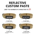 thumbnail image 2 of Didog Personalized Dog Pet Collar with Handle Custom Reflective Nameplate M-XL, 2 of 8