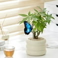 thumbnail image 5 of Insert de Pot en Acrylique Décoration, 5 of 5