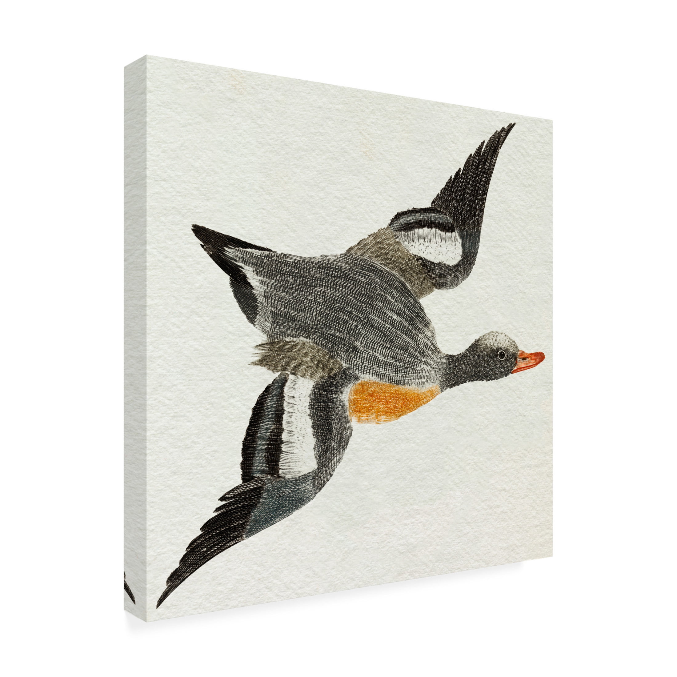 Trademark Fine Art Johan Teyler Flying Ducks I Canvas Wall Art