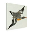 thumbnail image 3 of Trademark Fine Art Johan Teyler Flying Ducks I Canvas Wall Art, 3 of 4