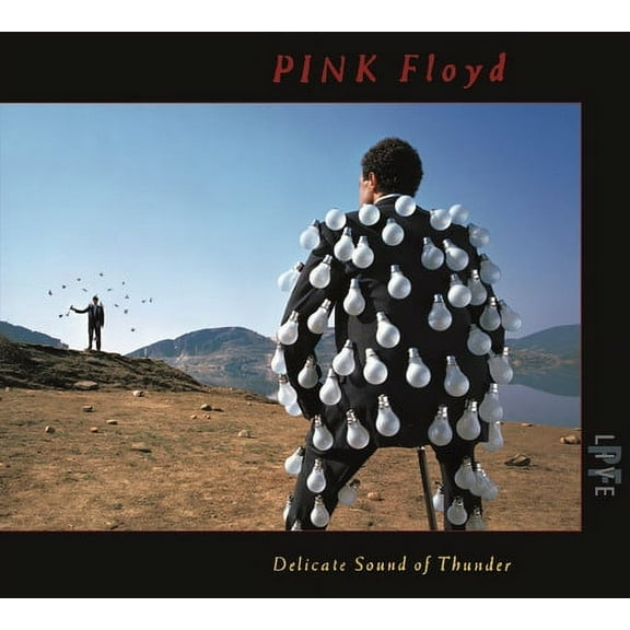 Pink Floyd - Delicate Sound Of Thunder (Live) - Music & Performance - CD