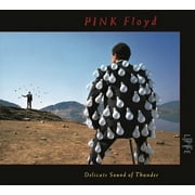 Pink Floyd - Delicate Sound Of Thunder (Live) - Rock - CD