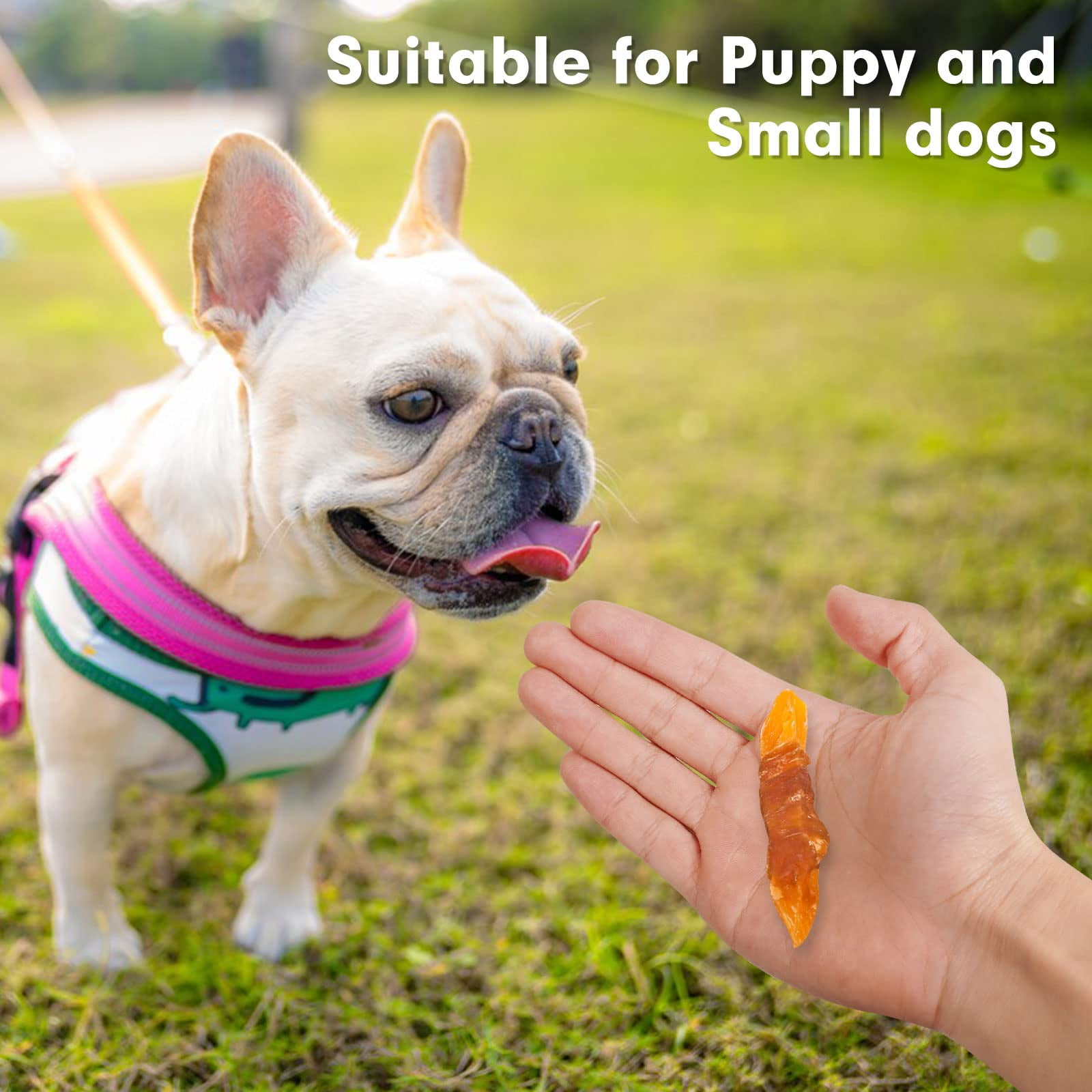 MON2SUN Dog Treats Rawhide Free Chicken Wrapped Sweet Potato Dog Snacks,Gluten&Grain Free Dog Treats for Puppy and Small Dogs,25oz