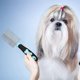 thumbnail image 5 of Peine para perros, peine para gatos con dientes redondeados de metal de doble cara, mascota de acero inoxidable, 5 of 5