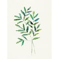 thumbnail image 3 of Swatland, Sally 15x18 Black Modern Framed Museum Art Print Titled - Breath of Spring II, 3 of 5