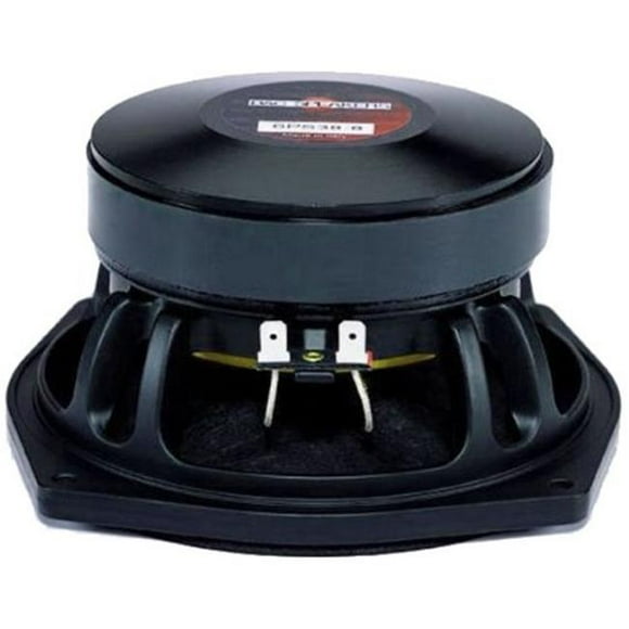 B & C Speakers 6PS38 6.69 Po. Caisson de Basses avec Impédance de 8 Ohms & Aimant en Ferrite 300W