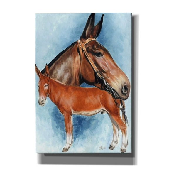 Epic Graffiti 'Donkey' by Barbara Keith, Canvas Wall Art, 18"x26"