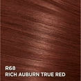 thumbnail image 4 of L'Oréal Paris Feria, Permanent Hair Dye, 4 of 7