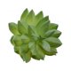 thumbnail image 2 of Mini suculentas Toystoory 10 piezas decorativas PVC, 2 of 6