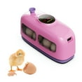 Cailmei Hatching Chicks, 8 Eggs Poultry Hatcher, Cute Little Train