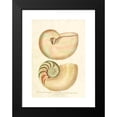 thumbnail image 2 of John Chapman 14x18 Black Modern Framed Museum Art Print Titled - Encyclopaedia London - Conchology Pl. 02 (1810), 2 of 5