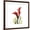 Brown Frame, variant on Art.com New Red Calla Lily Art Print by Albert Koetsier, 16" x 16"